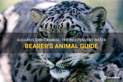 Aquarius Spirit Animal: The Independent Water Bearer's Animal Guide ...