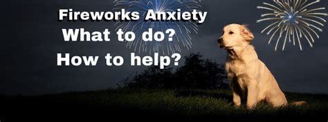 A Comprehensive Guide To Safeguarding Dogs With Fireworks Anxiety On