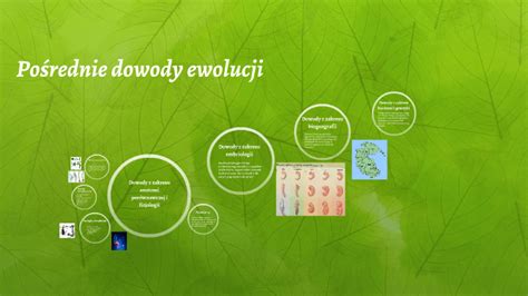 Po Rednie Dowody Ewolucji By Dominika Abno On Prezi