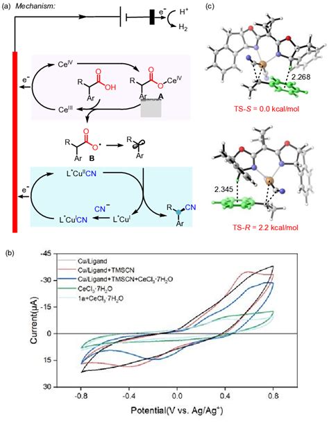 Scheme Proposed Catalytic Cycle Dft Study And Cyclic Voltammetry