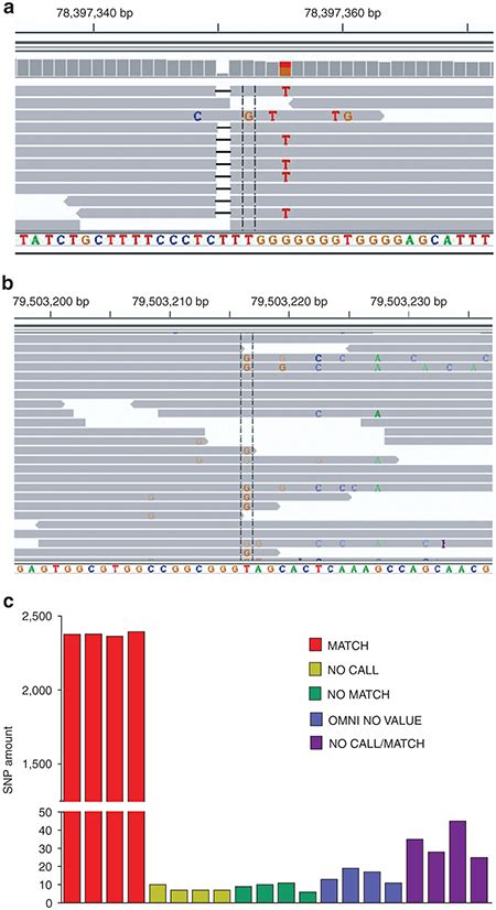 Sequencing Accuracy A Integrative Genomics Viewer Igv Screenshot