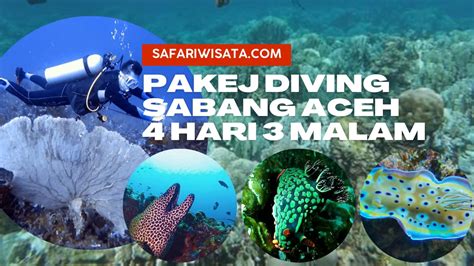 Pakej Diving Sabang & Tour Aceh 4 Hari 3 Malam - Pakej Percutian ke ...