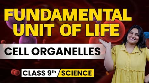 Fundamental Unit Of Life Cell Class 9 Cell Organelles Detail Explanation Science Chapter