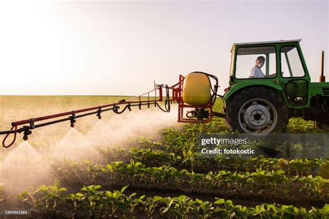 Tractor Spraying Pesticides On Soy Field With Sprayer At Spring High