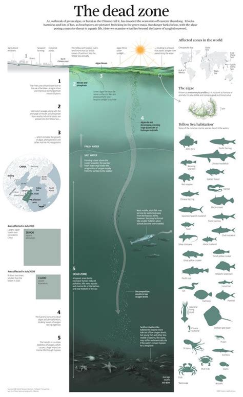 The Dead Zone By Adolfo Arranz Via Behance Graphicdesign Newspaper