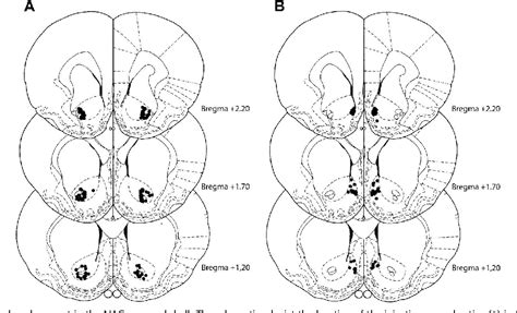 Figure 1 From Dopamine D1 And D2 Receptors In The Nucleus Accumbens