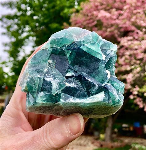 424g Green Cubic Fluorite Crystal Cluster Mineral Display Specimen