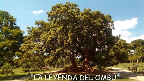 LA LEYENDA DEL OMBÚ