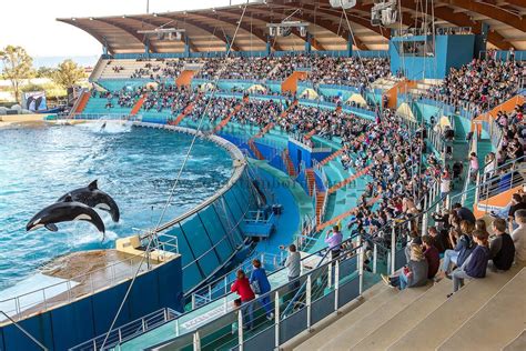 Le Marineland D Antibes Vacances En Camping Campings