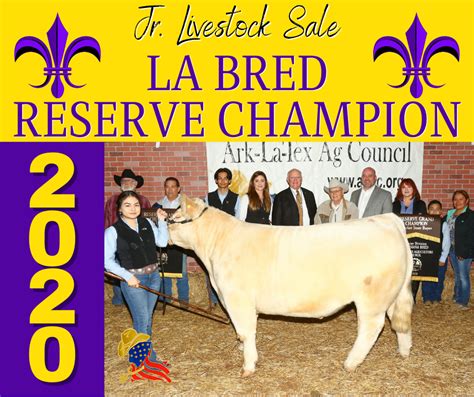 La Bred Reserve Champion Steers Altac