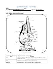 Anaphy Lab Activity Microscopy Docx Laboratory Report Microscopy