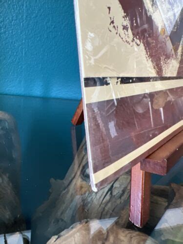 Popsike DAN HICKS HIS HOT LICKS Striking It Rich LP BLUE THUMB