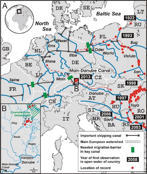 A West European Range Of Invasive Amur Sleeper Perccottus Glenii