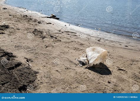 Basura Pl Stica A Lo Largo De La Costa Costa Contaminaci N Ambiental