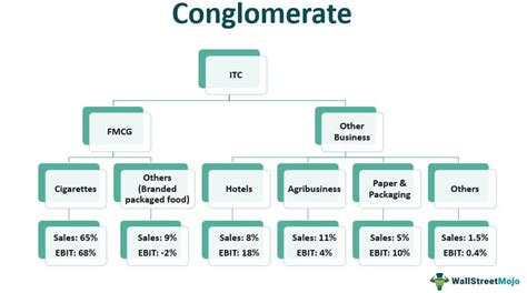 Conglomerate Business Examples