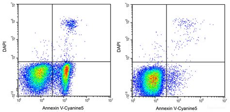 High Affinity And Specificity Annexin V Cyanine Dapi Apoptosis Kit E