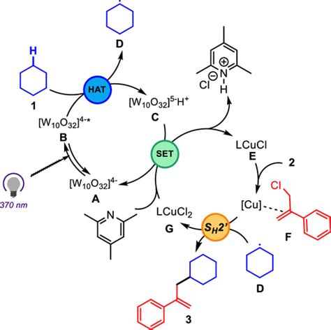 Direct Ch Allylation Of Unactivated Alkanes By Cooperative Wcu