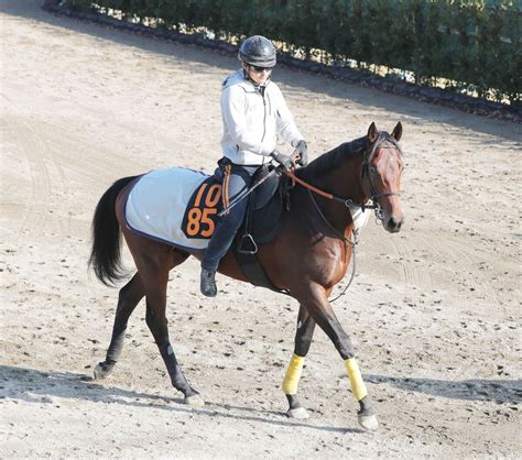 【東京スポーツ杯2歳s】デビュー戦8馬身差vのハーツコンチェルトは2走目にも期待 スポーツ報知