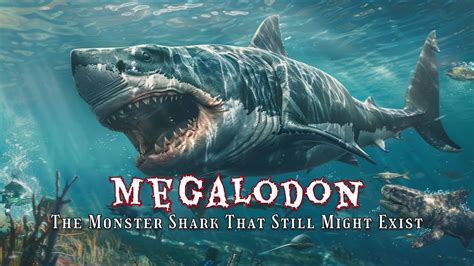 Megalodon The Monster Shark That Still Might Exist Youtube