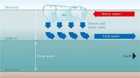 Impact of Salinity on Ocean Currents | IASPOINT