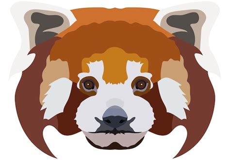 Le Visage Du Petit Panda Vector Illustration D Un Panda Rouge Isol Sur