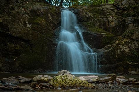 Una Cascada En El Bosque Con Un Fondo Verde Y Un Rbol Al Fondo Foto