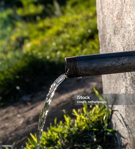 Healthy Drinking Water Fountains In The Natural Environment Stock Photo ...