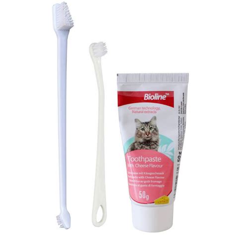 Bioline Dental Hygiene Set For Cat G Petco Bd