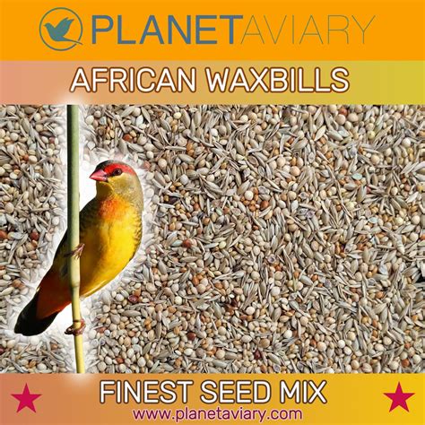 Waxbill Finest Seed Mixture Planet Aviary