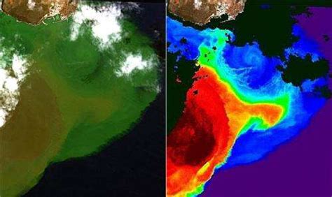 El Hierro Volcano helps to improve algorithms used by satellites