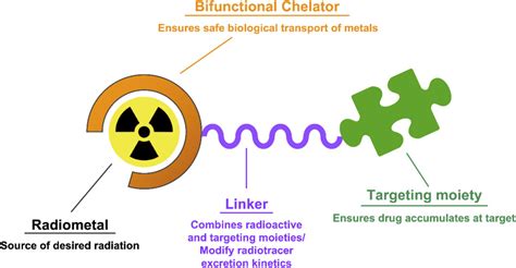 Advances In Macrocyclic Chelators For Positron Emission Tomography