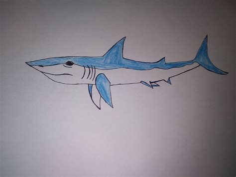 Mako Shark by Usermicko2002 on DeviantArt