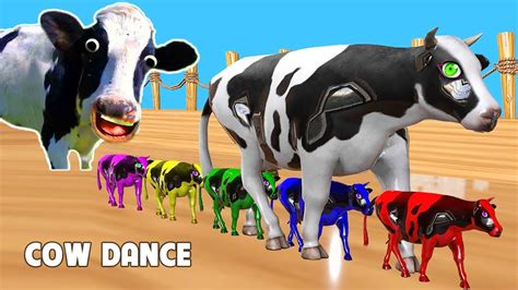 Funny Cow Dance 7 Cow Songs Cow Videos 2023 Youtube