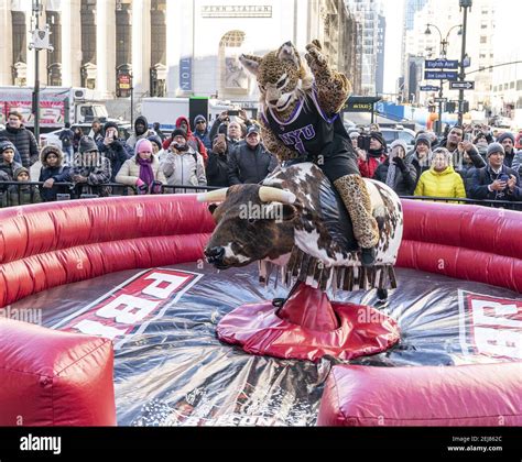 NYU mascot The Bobcat rides mechanical bull during Professional Bull ...