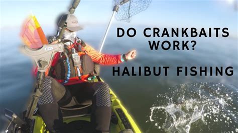 Halibut Fishing San Francisco Bay Crankbait Herring Youtube