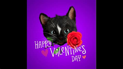 HAPPY VALENTINE S DAY TO ALL YouTube