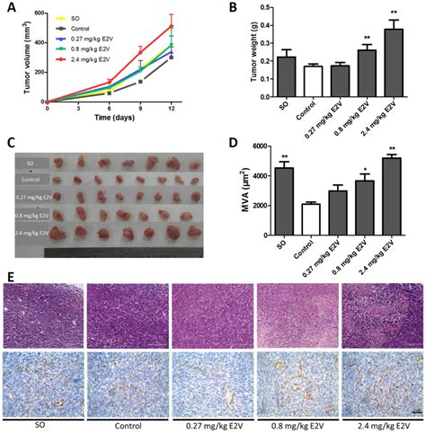 Tumor Growth Curve