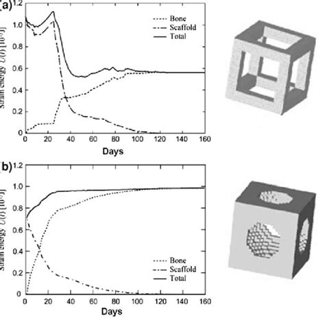 Elastic Modulus And Permeability Versus Porosity On Two Pore Cell