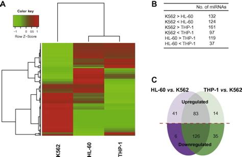 Differences In Mirna Expression Between Acute And Chronic Myeloid