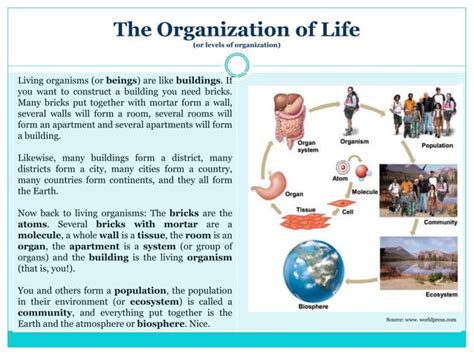 biology  simple pptx biological sciences science