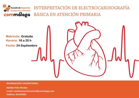 Cuaderno De Galenos Interpretación De Electrocardiografía Básica En