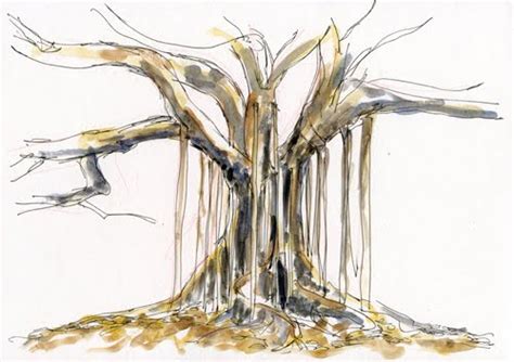 Fig Tree Sketch at PaintingValley.com | Explore collection of Fig Tree ...