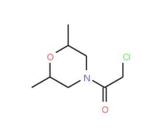 Chloro Dimethyl Morpholin Yl Ethanone Scbt Santa Cruz