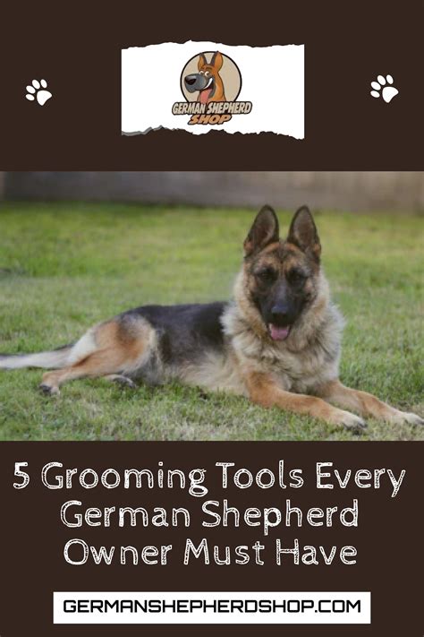 5 grooming tools every german shepherd owner must have – Artofit