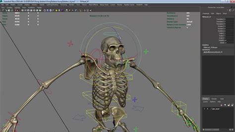 Kong Skeleton Maya Rig Video Demo YouTube