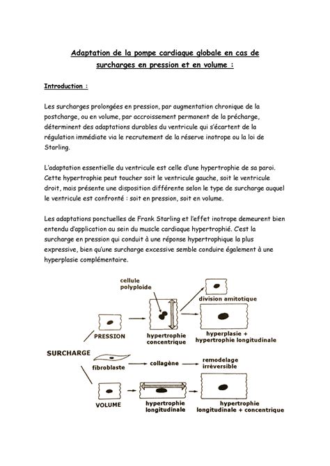 Cardiologie Partie 7 Aspects de régulation et d adaptation intégrée