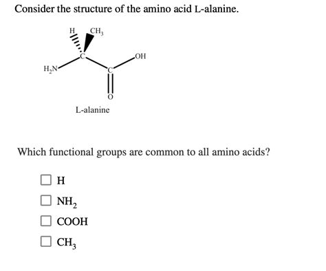 Alanine Amino Acid Structure