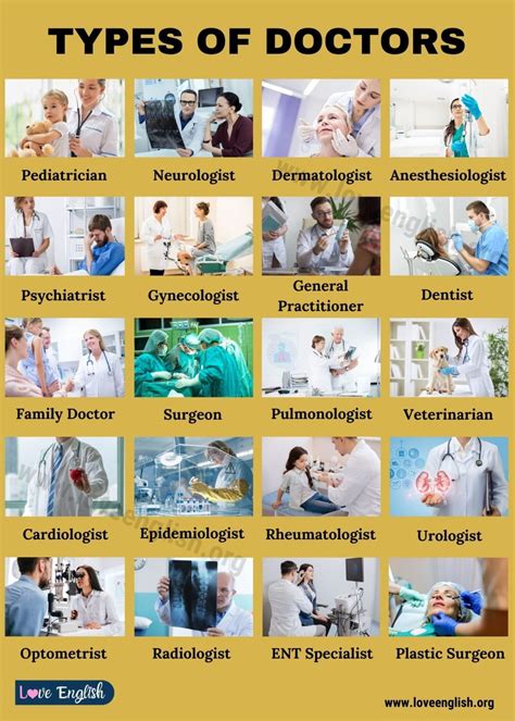 Types of Doctors: 20 Popular Names of Doctors & Medical Specialists in ...