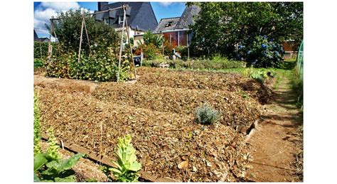 Permaculture 8 infos pour réussir son potager en lasagnes