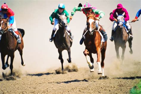 What Are The Different Types Of Bets In Horse Racing?